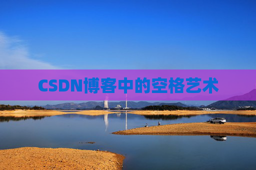 CSDN博客中的空格艺术